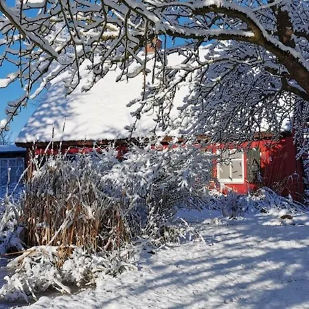 Hof Garz Kraeutergarten