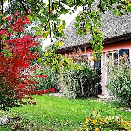 Hof Garz Kraeutergarten شقة Poseritz