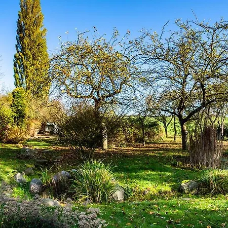 Hof Garz Kraeutergarten *