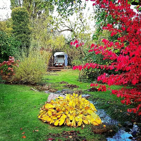 Hof Garz Kraeutergarten Poseritz