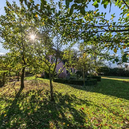 Hof Garz Kraeutergarten * Poseritz