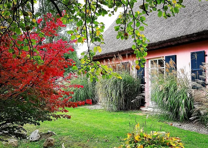 Hof Garz Kraeutergarten 公寓 坡瑟利特兹